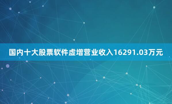 国内十大股票软件虚增营业收入16291.03万元